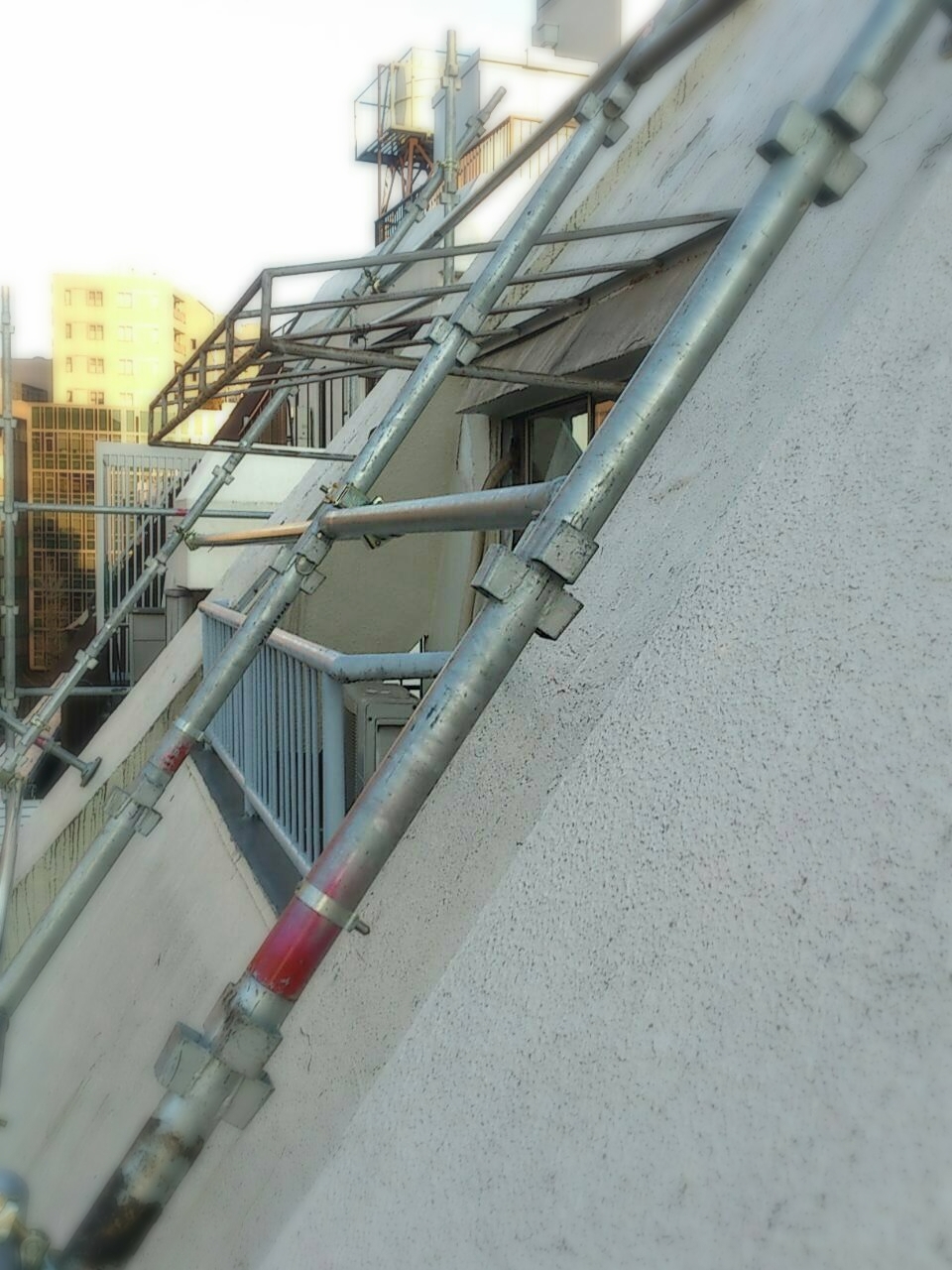 T都T区