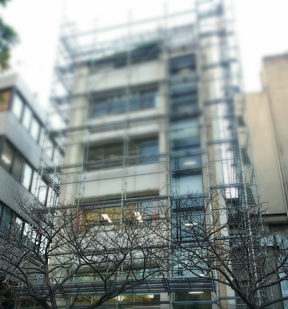 T都T区