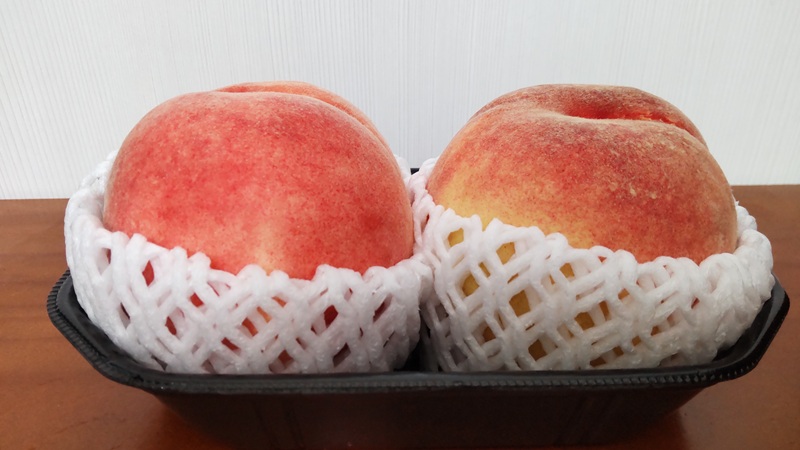 山梨県の「大藤(おおふじ)」