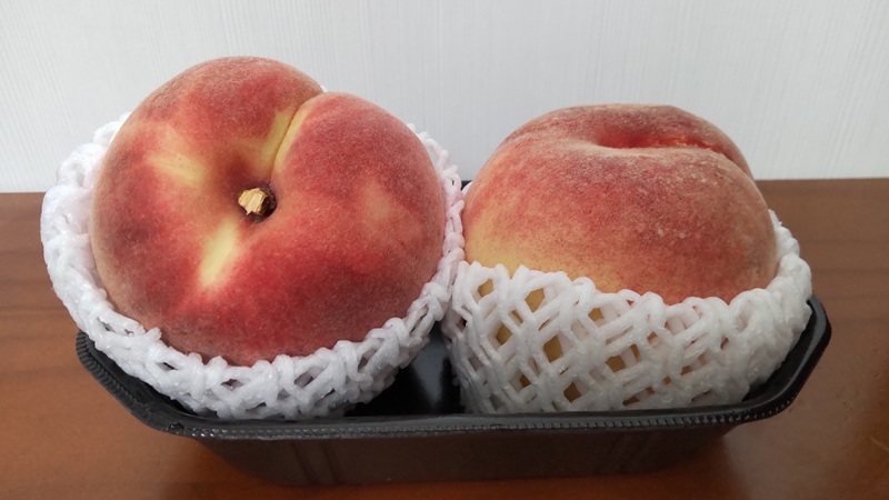 山梨県の「大藤(おおふじ)」