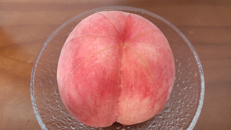山梨県の「大藤(おおふじ)」