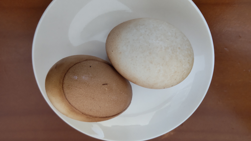 自家製の「ほうじ茶ゆで卵」