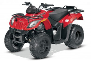 Arctic Cat 150