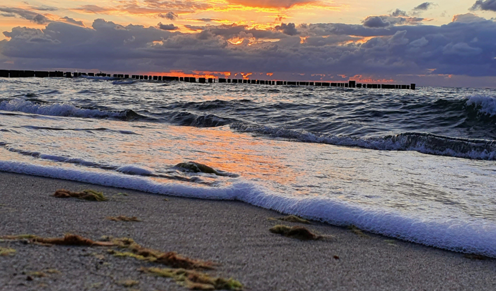 Was man am Strand der Ostsee finden kann – kleine Schätze und große Überraschungen