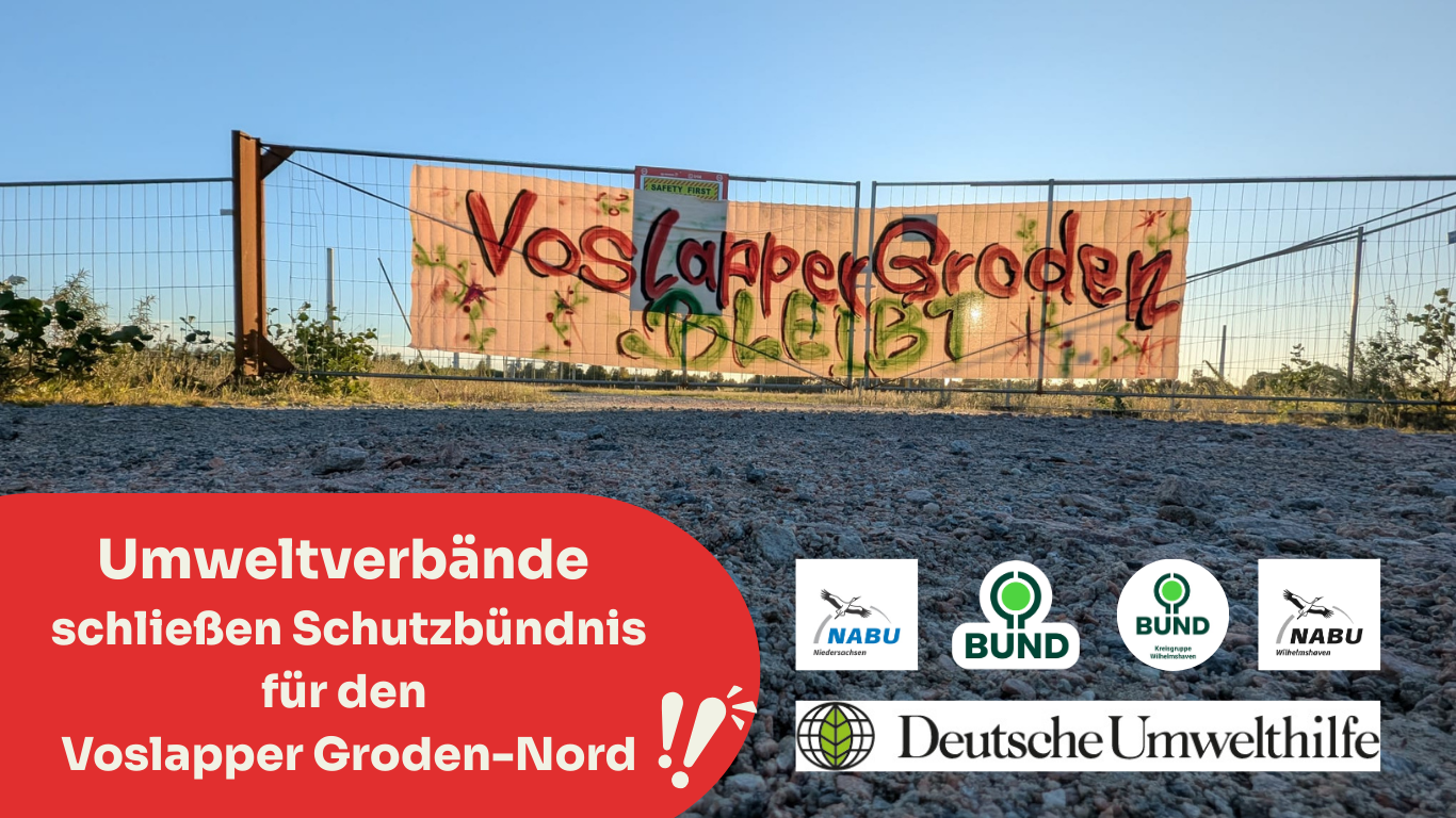 Sensibles Naturschutzgebiet und EU-Vogelschutzgebiet in Wilhelmshaven droht fossilem Industriepark geopfert zu werden