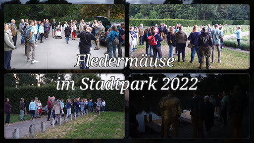 Fledermaus-Spaziergang im Stadtpark