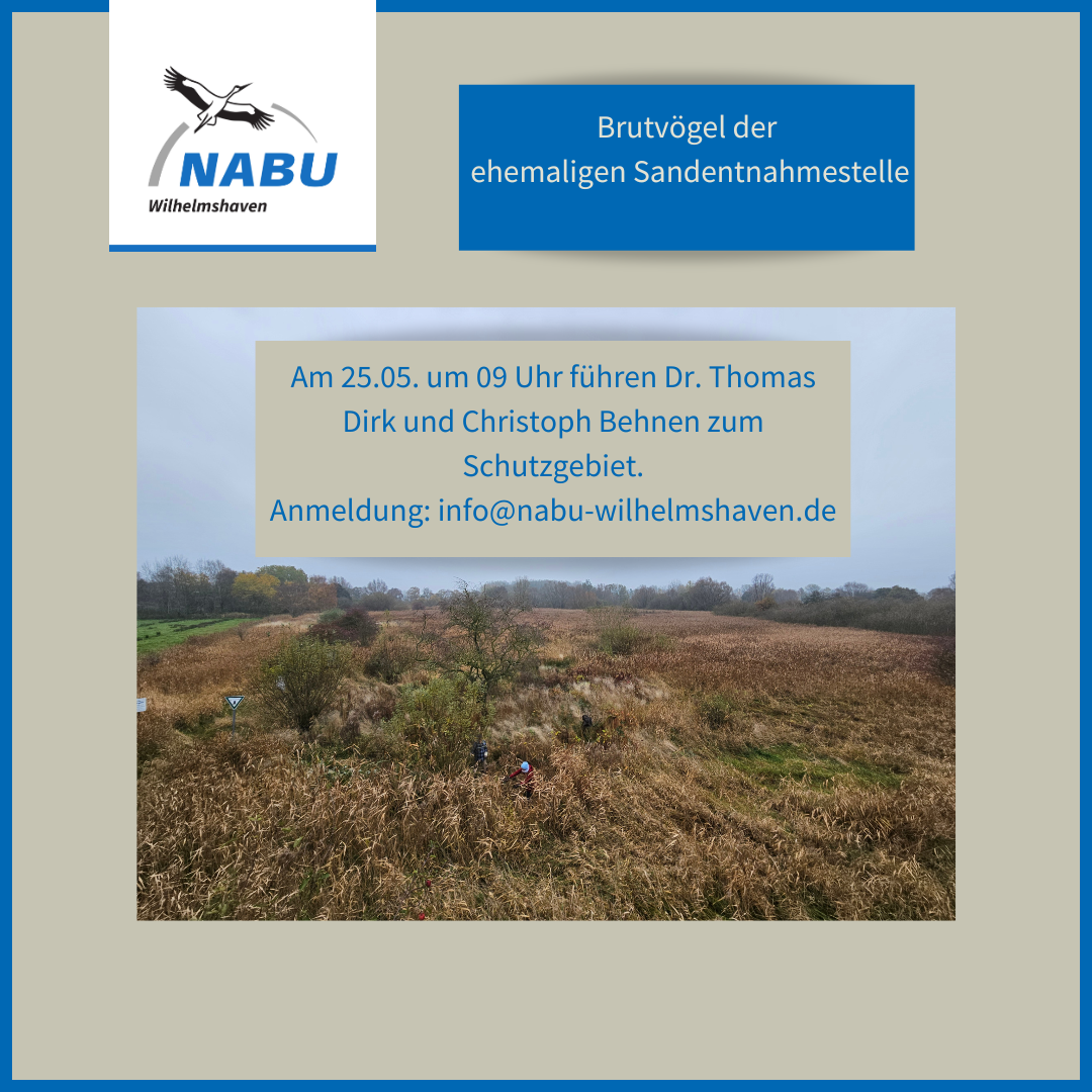 Fußexkursion im NABU-Biotop