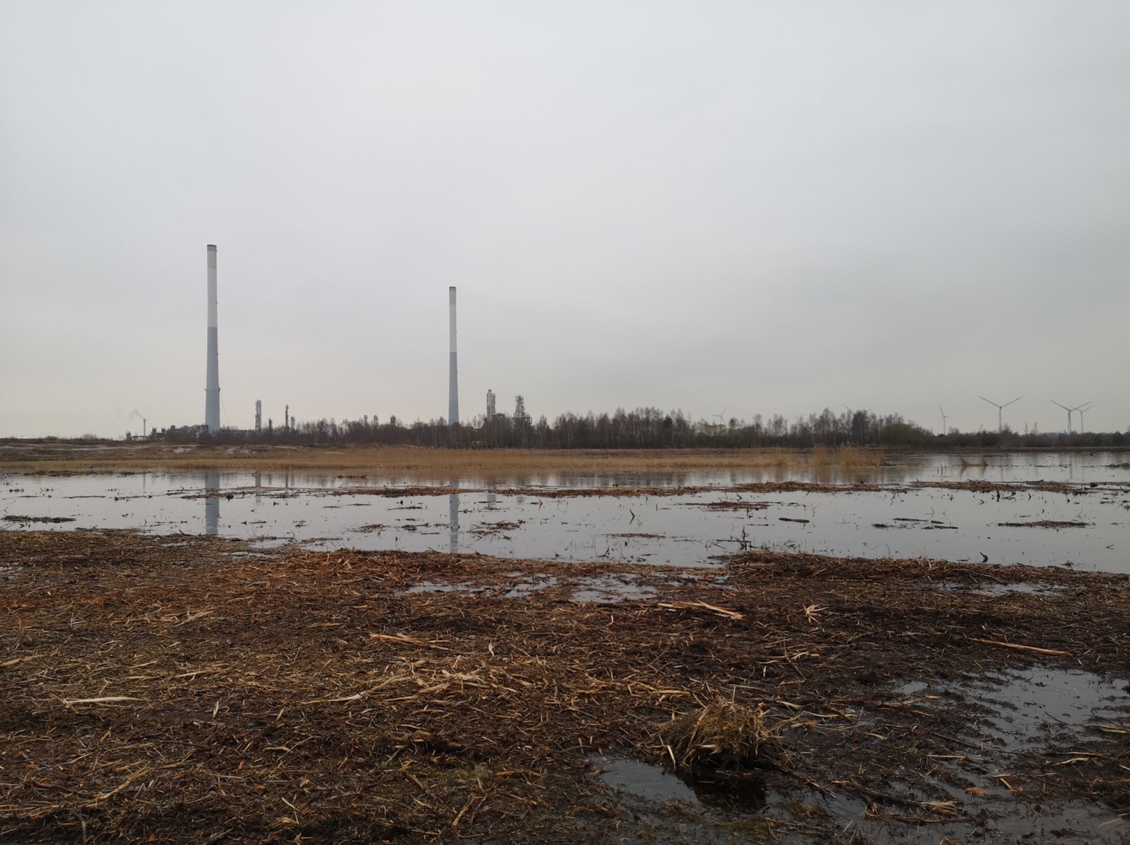 Landschaftspflege im Naturschutzgebiet Voslapper Groden-Nord