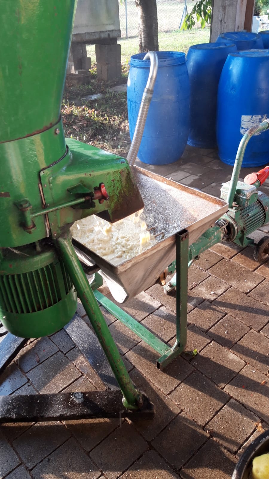 Schnecke pumpt Birnenmaische in die Fässer