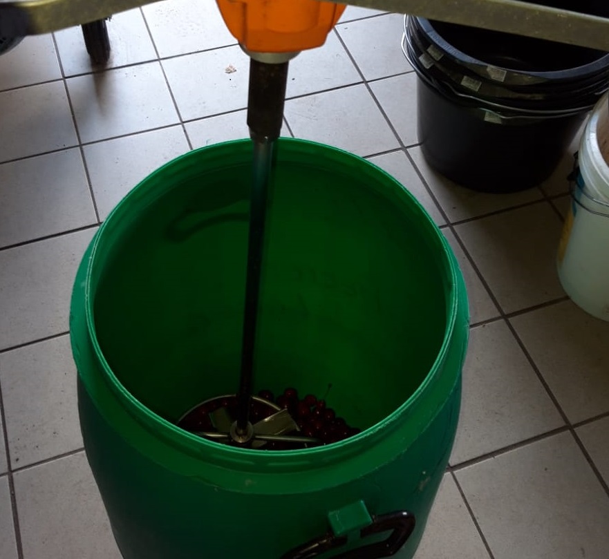 Kirschen werden gemaischt