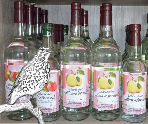 Wir haben Äpfel und Birnen verglichen – beides lecker!