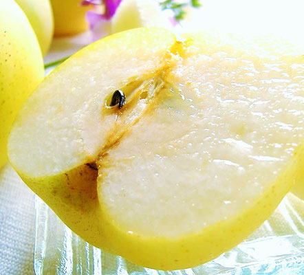 二十世紀梨 二十世紀梨 20century Asian Pear 台湾 日本 日本 台湾フルーツ宅配