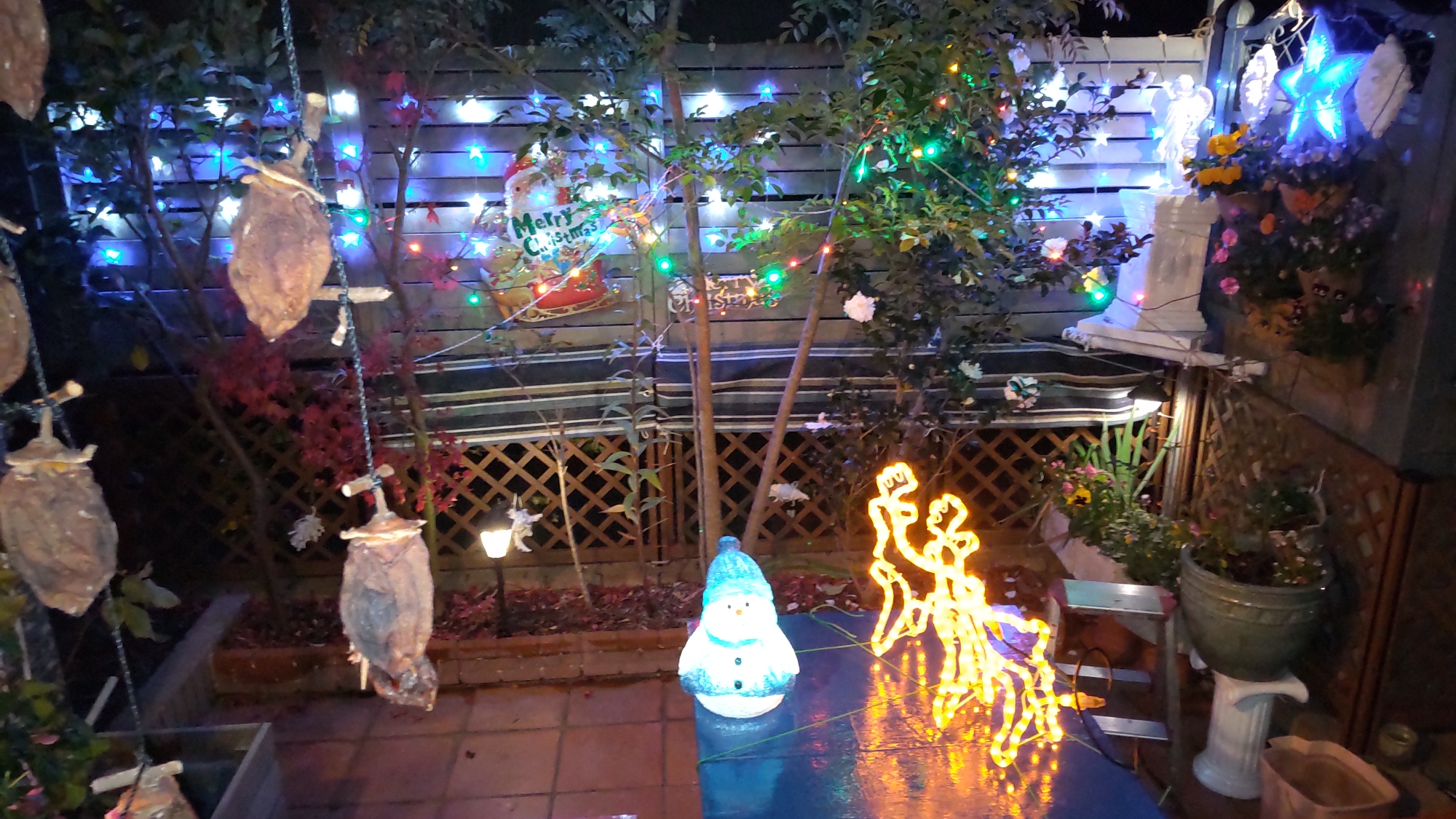 12月1日クリスマス用イルミネーション