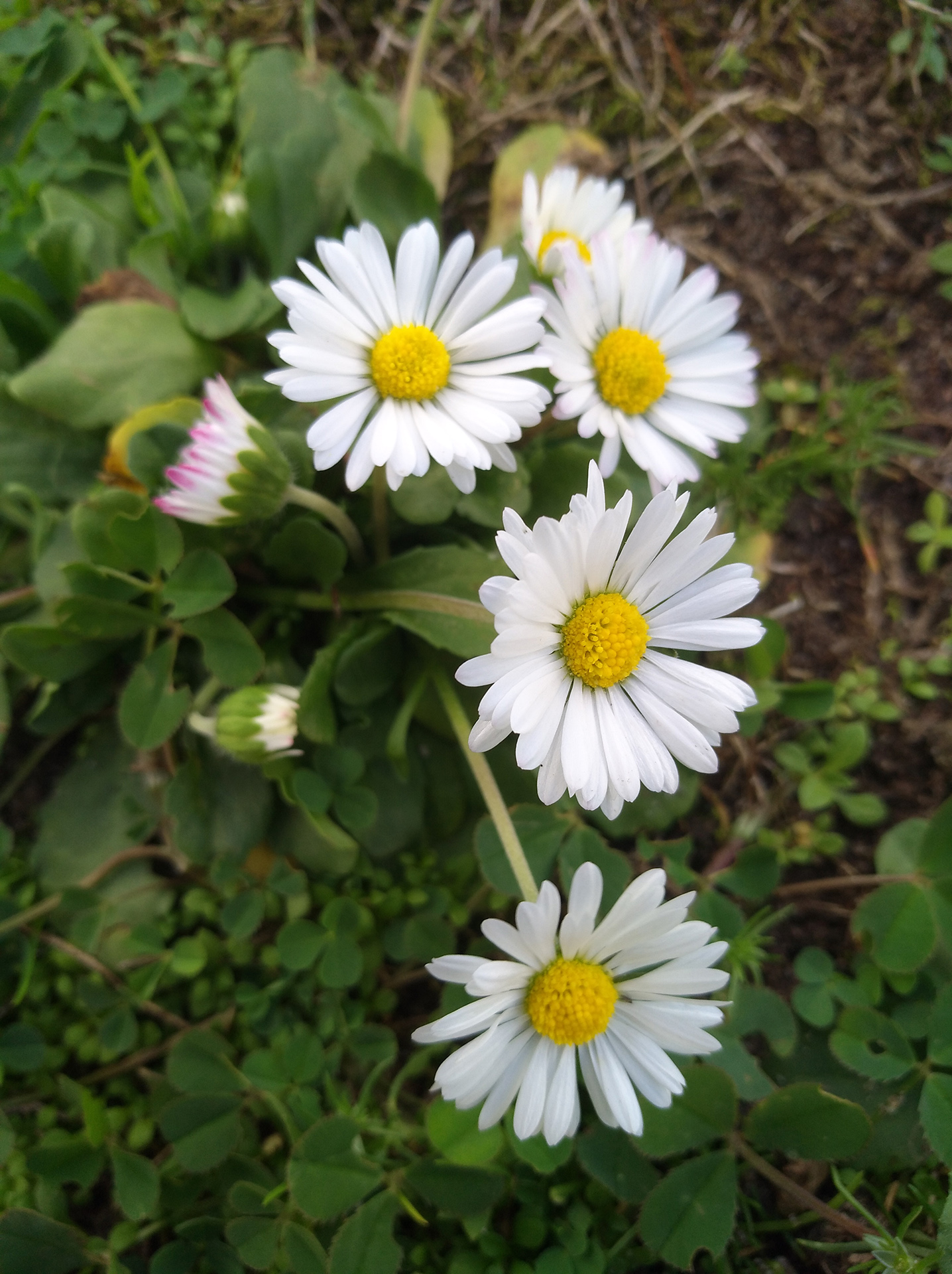 Kontakt Jürgen Feder