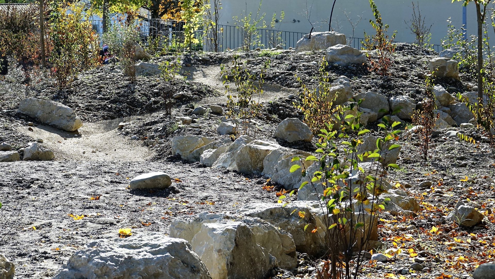 Steingarten anlegen. Kies, Schotter und Felsen im Garten ...