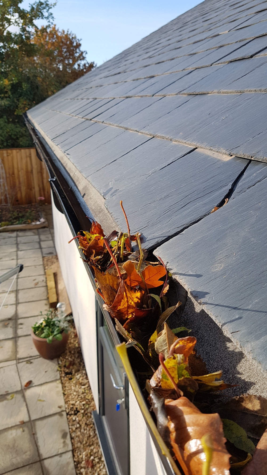 We clear gutters Exeter window cleaning