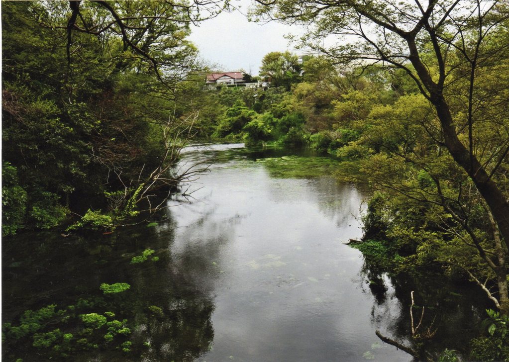 水辺の風景　photo by Matsukawa