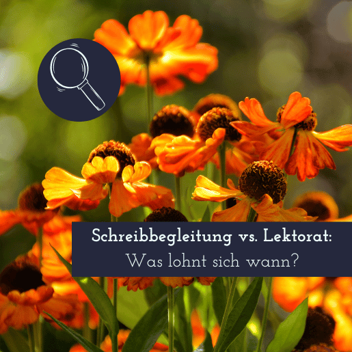 Schreibbegleitung vs. Lektorat: Was lohnt sich wann?