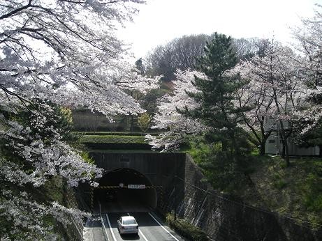 近くの中大隧道