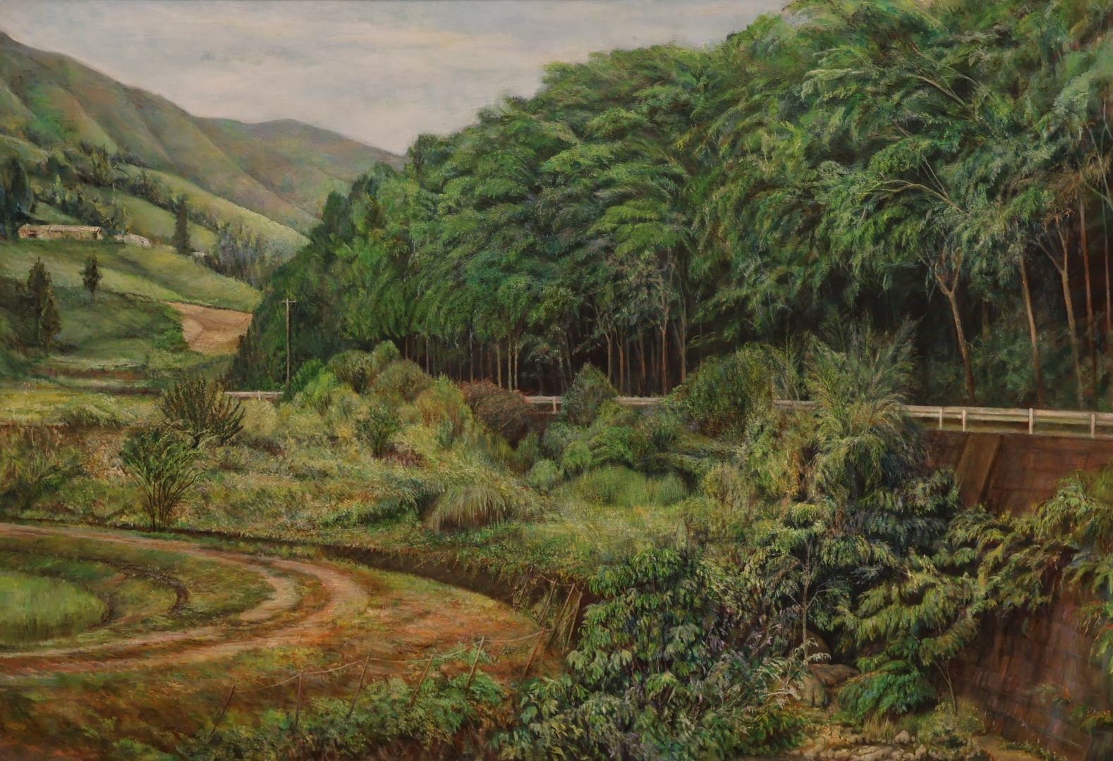 植村　千尋