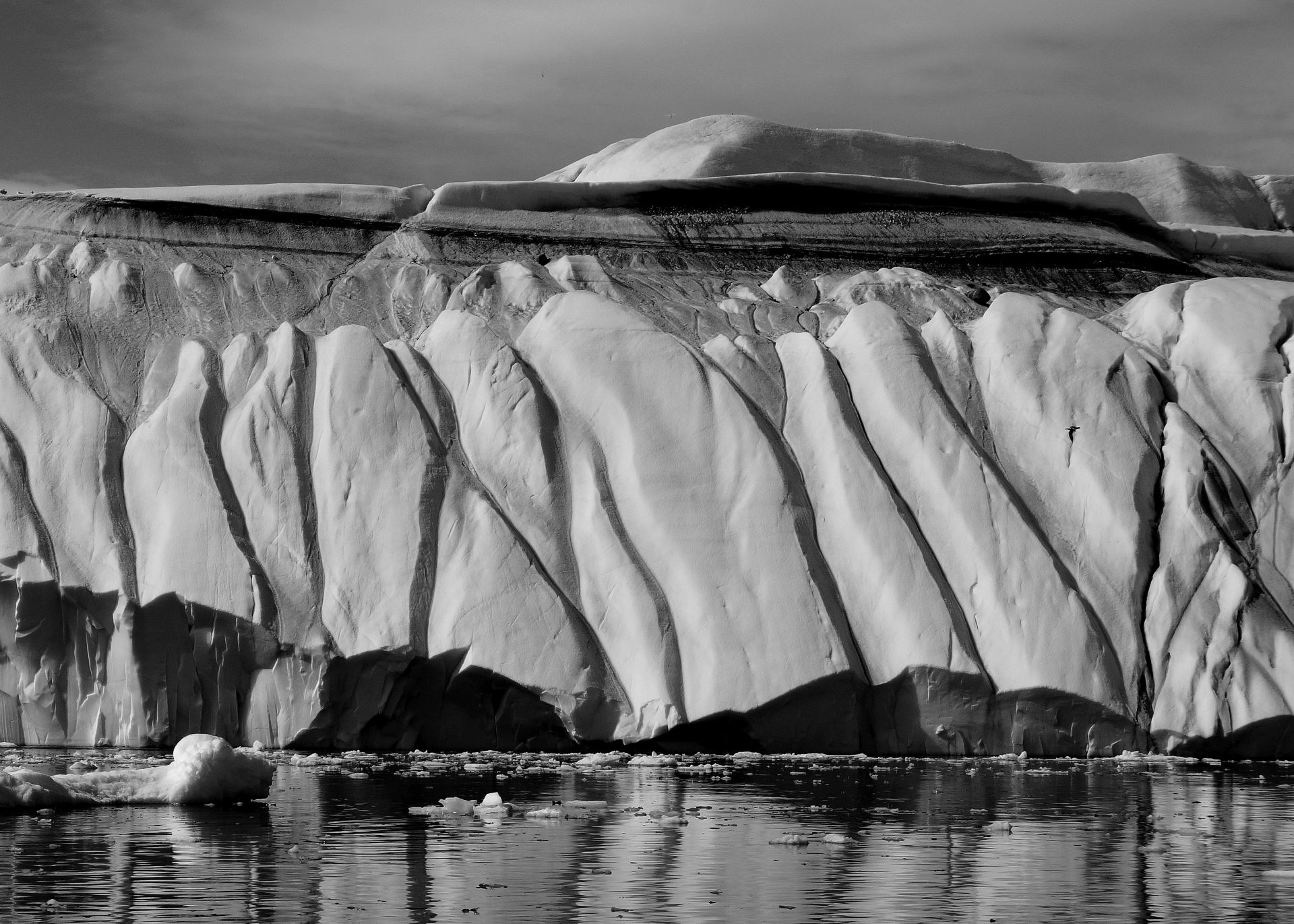 Arctic Art / Composition of the Moment 8 ( 2017)