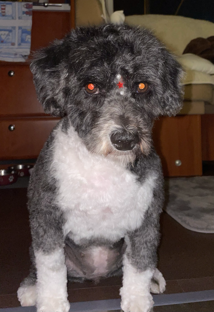 hinter dem Friseur mit Bindi