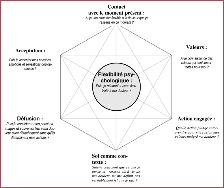 modèle « hexaflex » de la Thérapie d'Acceptation et d'Engagement (ACT)