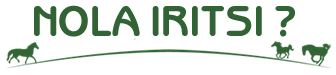 Nola iritsi ?