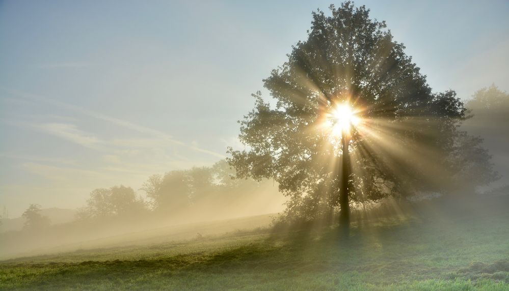 Gut schreiben 5 - Nebel in wissenschaftlichen Texten