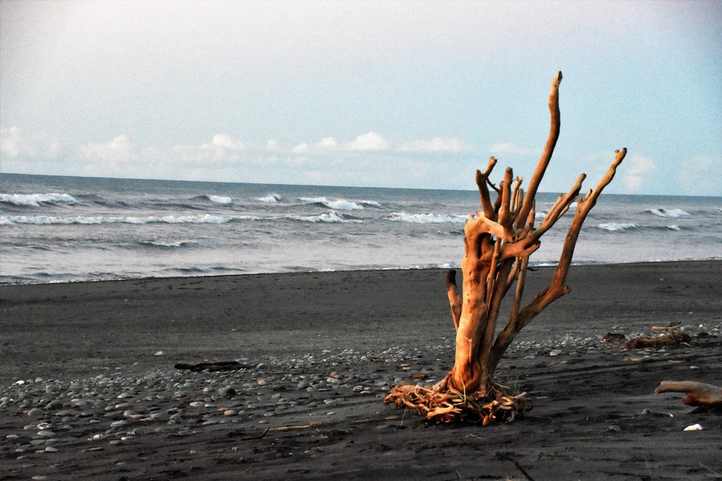 Sea View Beach bei Hokitika