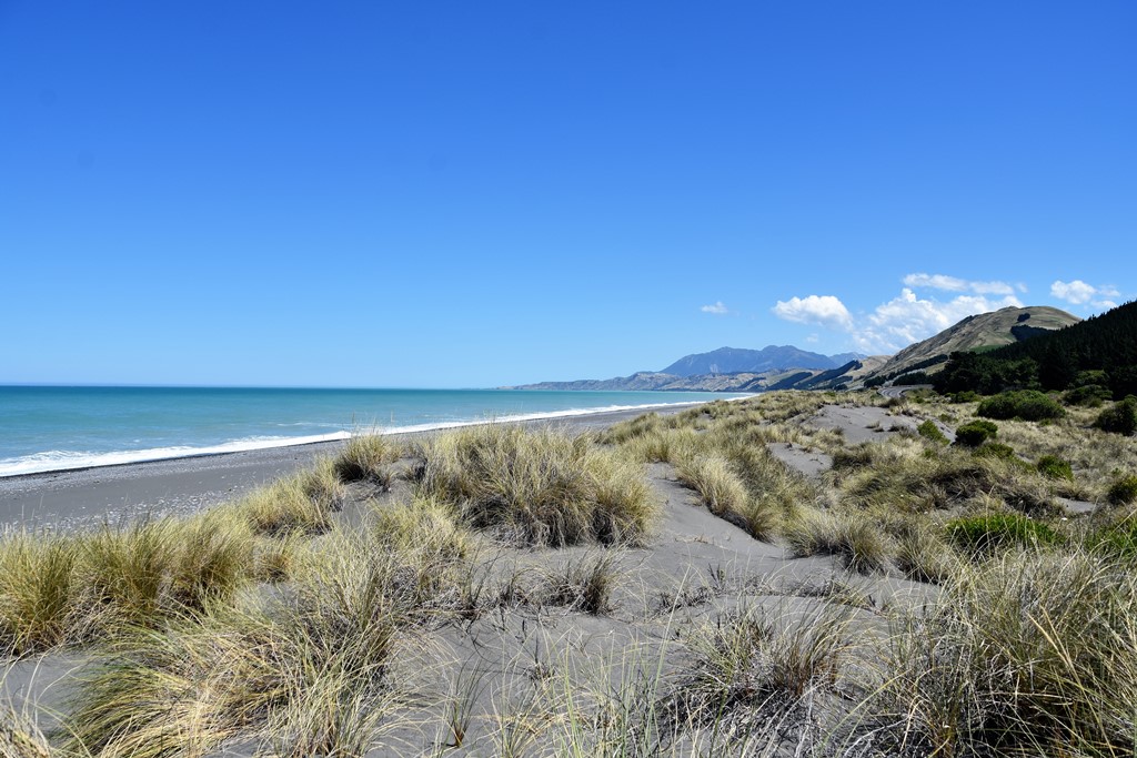 Strand bei Kaikoura
