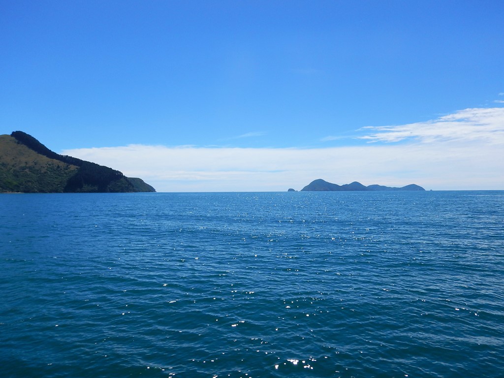 Nukuwaiata Island in den Marlborough Sounds