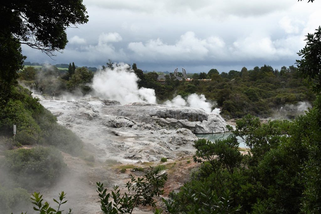 Pohutu Geyser in Rotorua