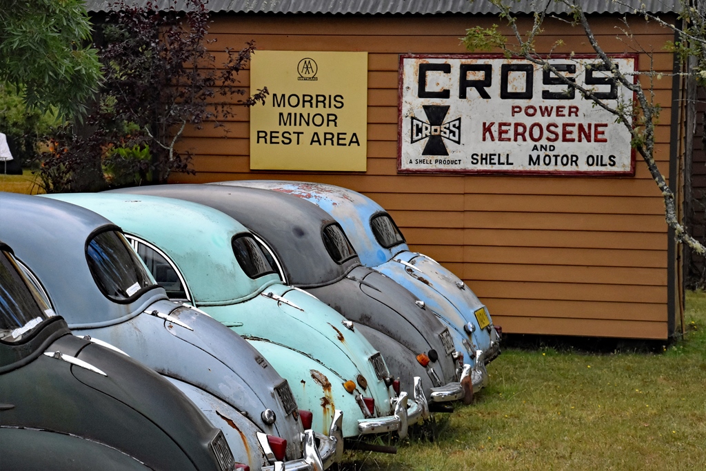 Manapouri campground, the cemetary of Morris Minors