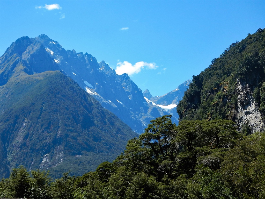 im Fjordland NP