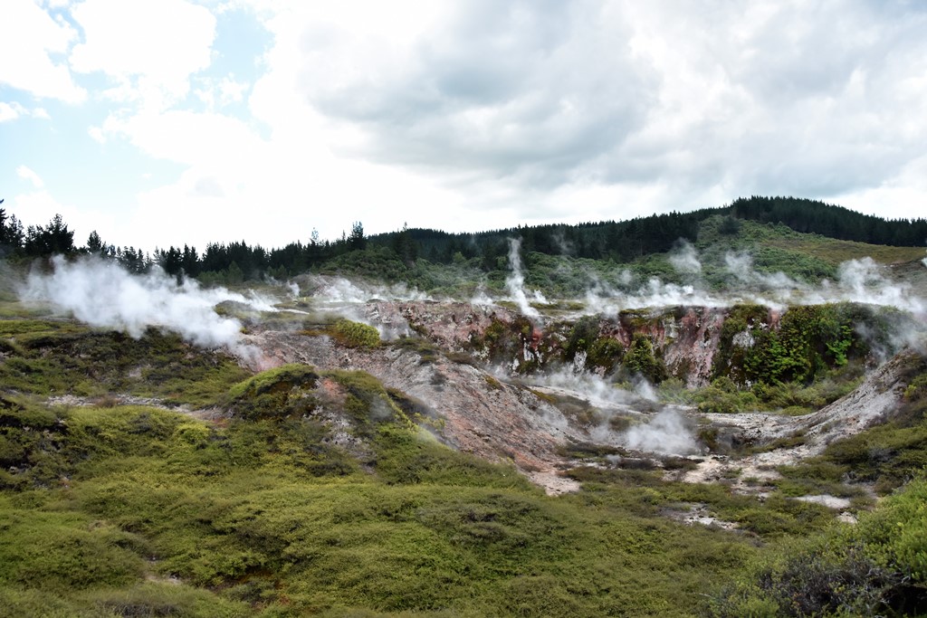 "Craters of the Moon" - Ein Geysirfeld unweit von Taupo