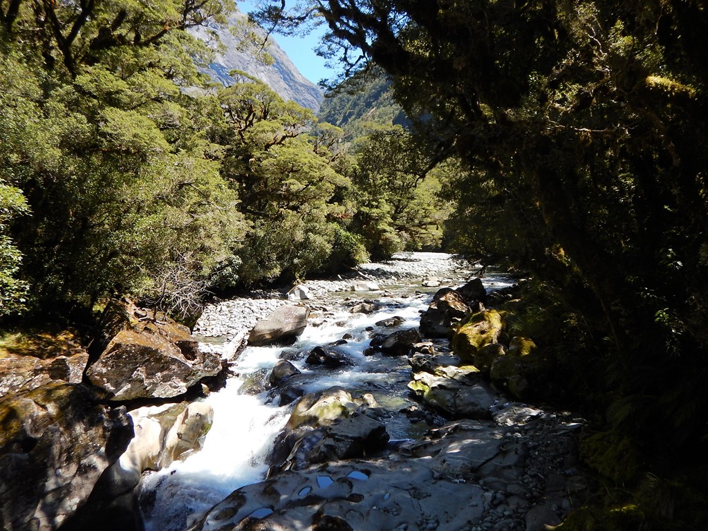 Clednau River im Fjordland NP