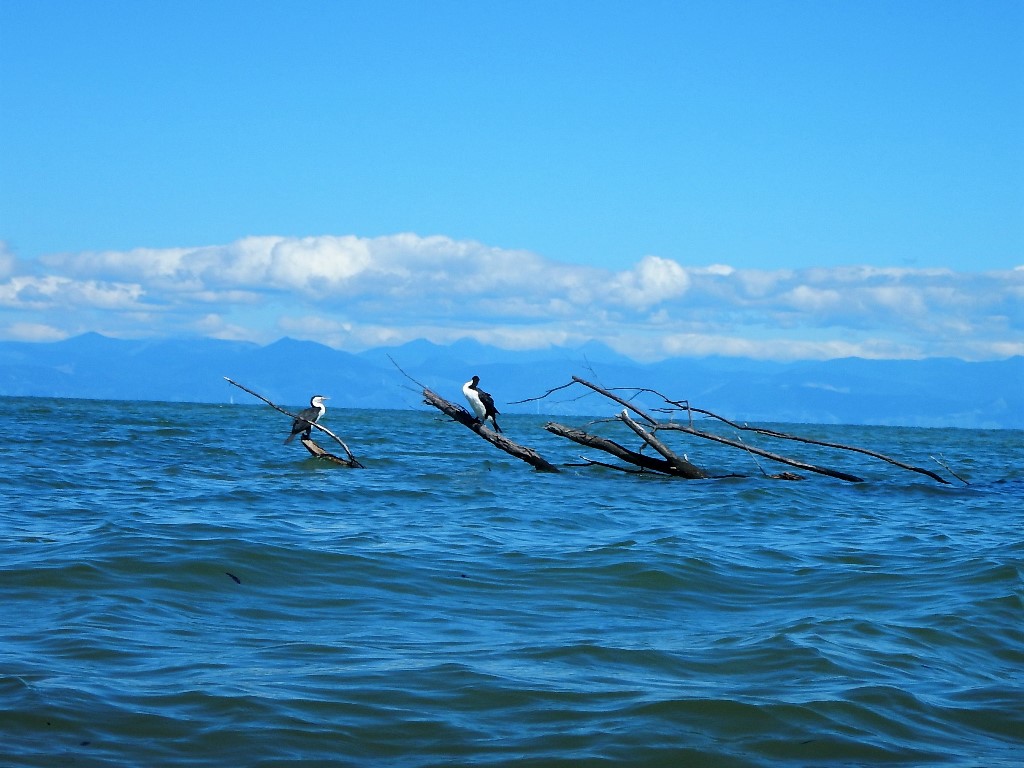 Abel Tasman NP