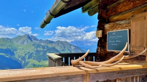 Saukaralm