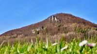 Happurger Stausee wandern