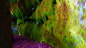 Schwarzachklamm