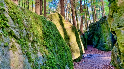 Druidenhain