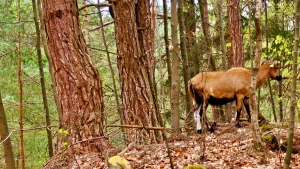 Familienwanderung Nürnberger Land