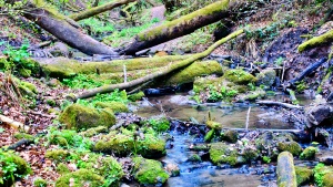 Teufelsschlucht Grünsberg