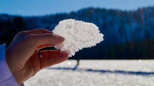 Premium Winterwanderweg Hemmersuppenalm