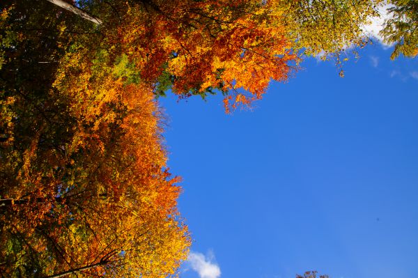 Wanderherbst im Nürnberger Land