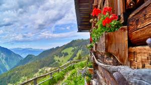 schönste Almen Großarltal