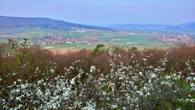 Pretzfelder Kirschenweg