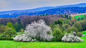 Altdorf wandern