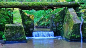 Röthenbachklamm